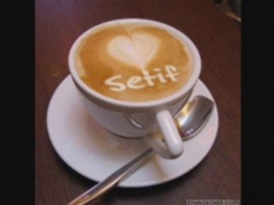 Staifi & Chaoui 2008 -