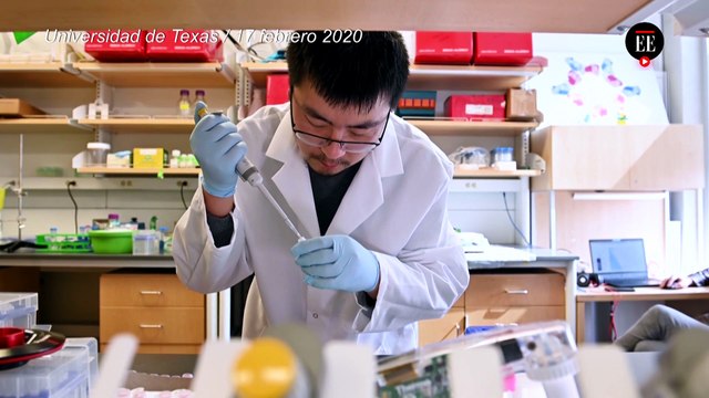Una vacuna contra el coronavirus entra en fase final de ensayo clínico - El Espectador