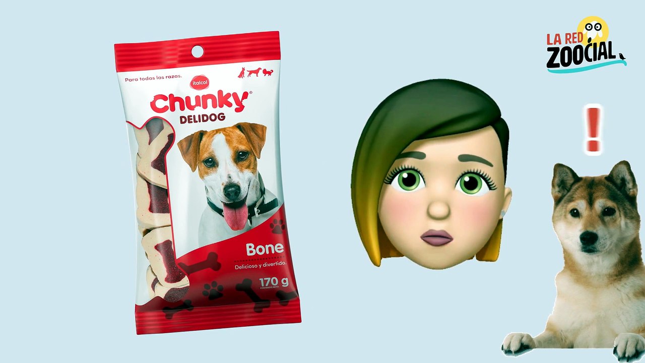 4 Soluciones para ayudar a las mascotas afectadas por la pandemia