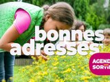 Agenda des Sorties du 1er au 3 mai 2026