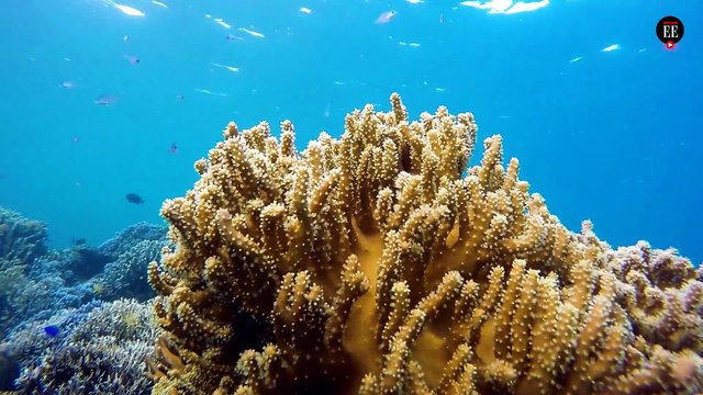 Cambio climático: ¿Por qué deberíamos prestarle más cuidado al medioambiente en el año 2021?