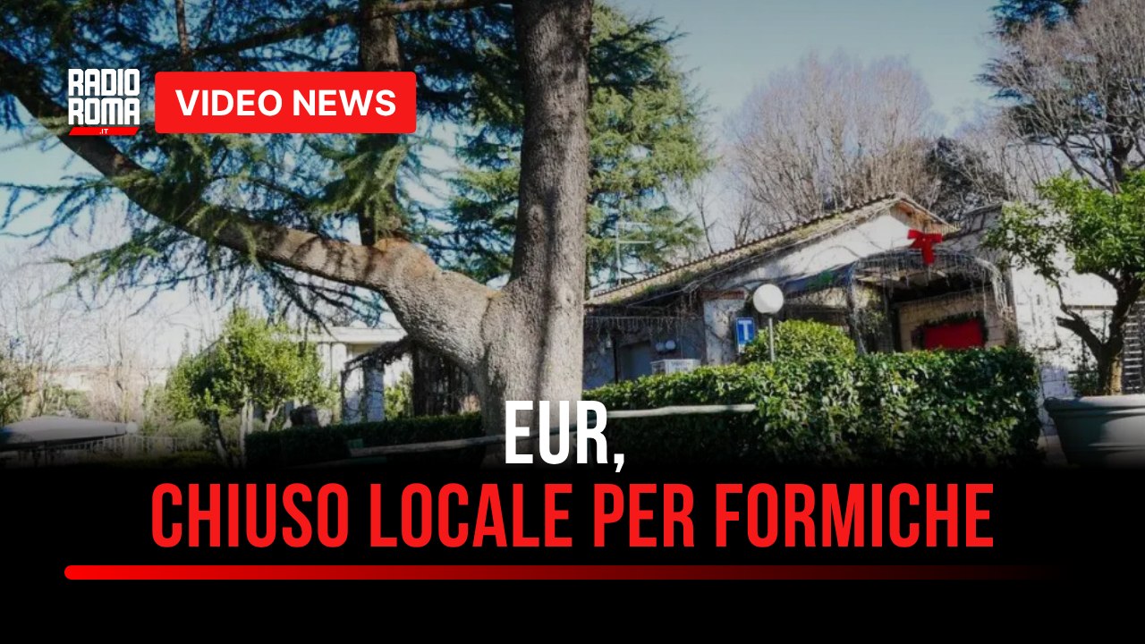Eur, chiuso locale per formiche