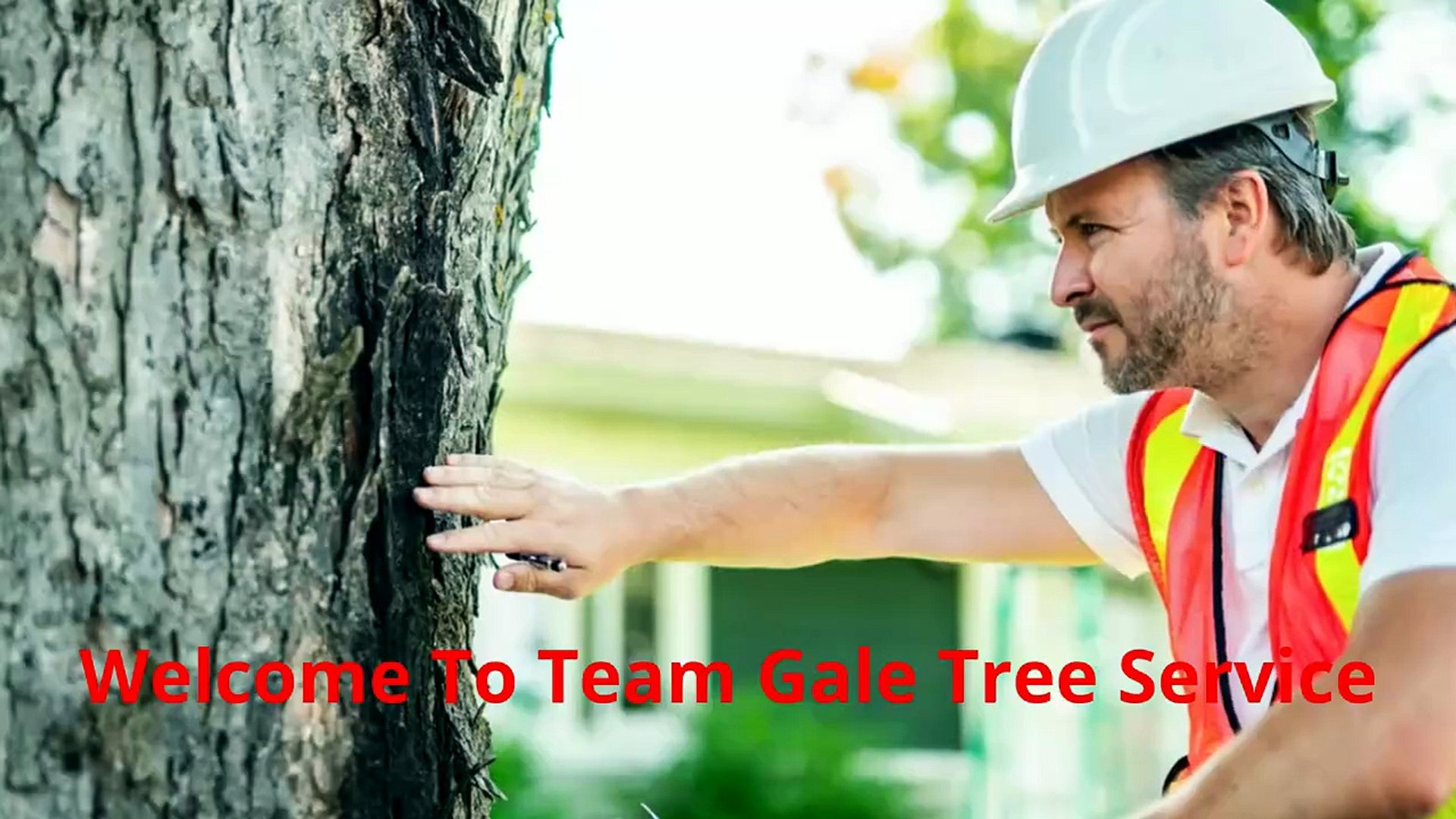 Team Gale Tree Removal Service in Delran, NJ | 08075