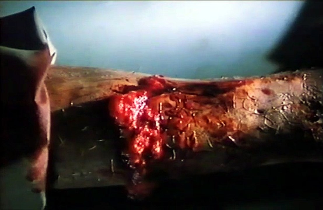 Ravager – Die Virusfalle