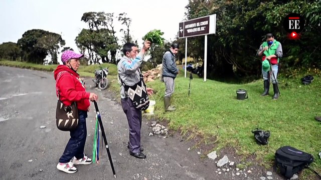 Científicos colombianos censan a Cóndores Andinos en el país
