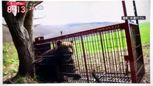 羽鳥慎一モーニングショー  動画　2026年04月29日 5mio