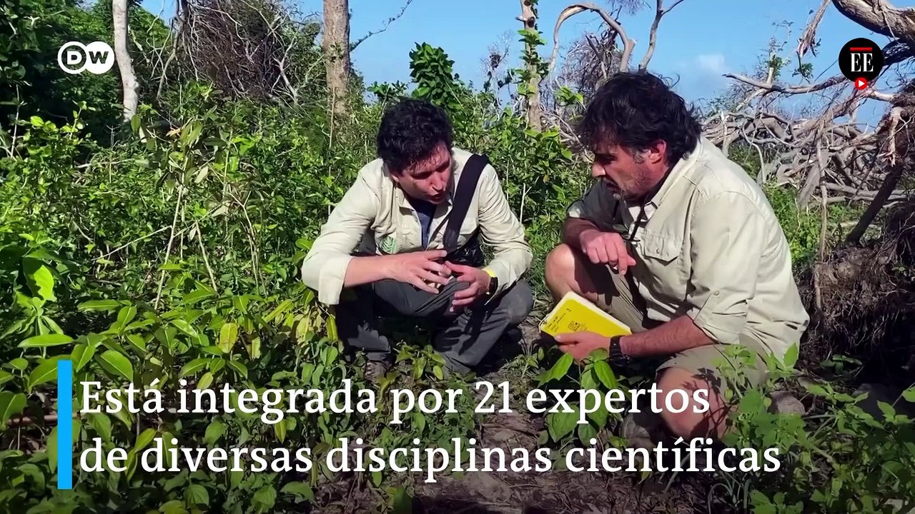 El huracán Iota y su desastre ambiental en Providencia