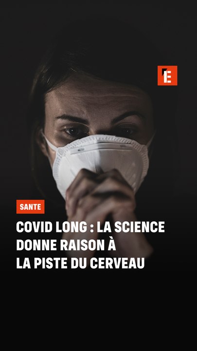 Covid long :  la piste du cerveau