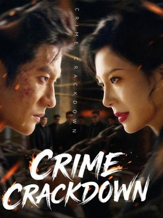 Crackdown Crimes