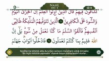14. Cüz - Ok Takipli Hatim - Kur'an-ı Kerim ve Türkçe Meali