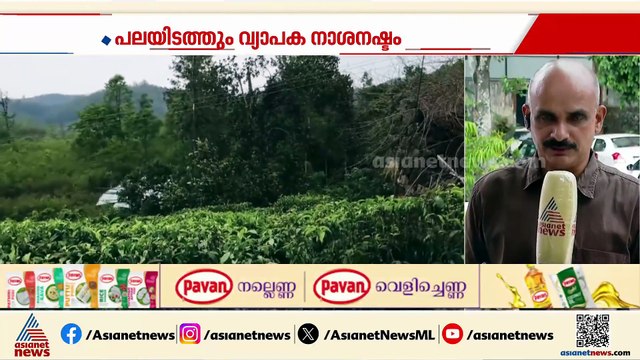 ഇടുക്കിയിൽ കനത്ത മഴയും കാറ്റും; പലയിടത്തും വ്യാപക നാശനഷ്ടം