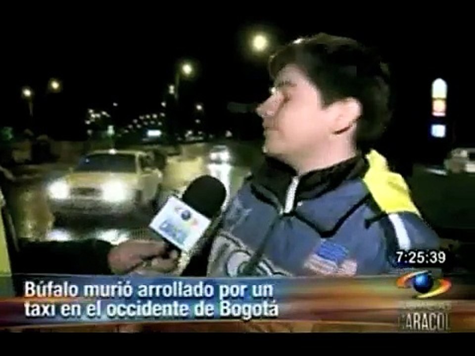 Búfalo muerto en Bogotá