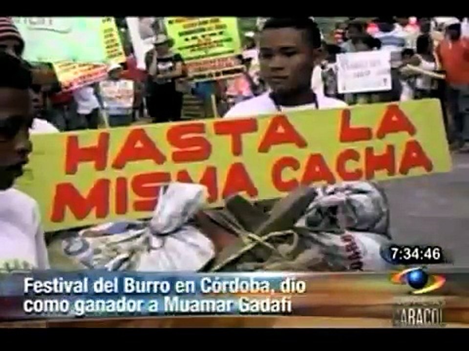 Burros en Córdoba