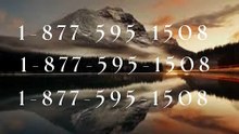 [*List] of Coinbase Helpline Numbers in the USA: Everything Explained