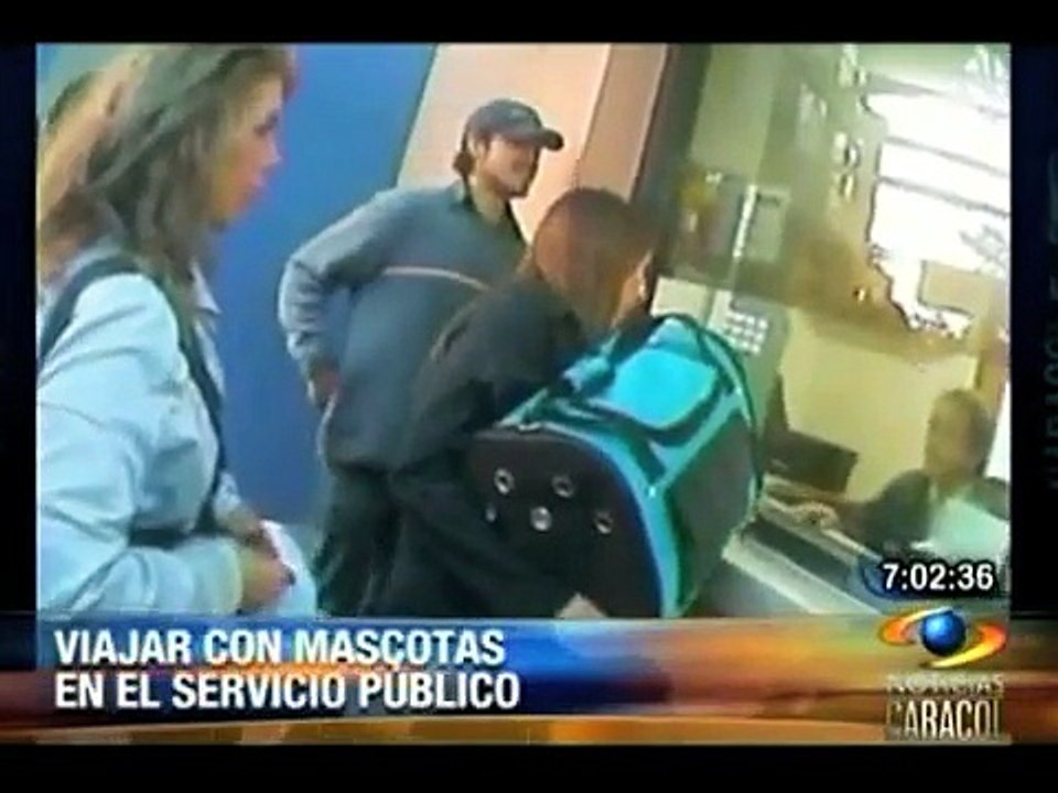 Mascotas en Transmilenio