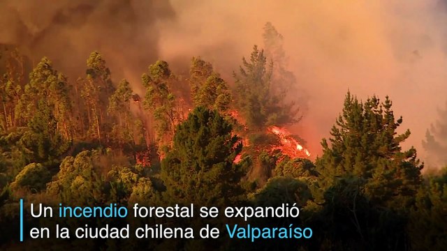 Feroz incendio forestal en Valparaíso, Chile, deja 19 heridos y daños en más de 100 viviendas