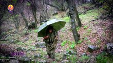 ŞERJÎN  - Gihiştina Xeyalan