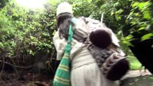 División entre indígenas por hotel en el Tayrona