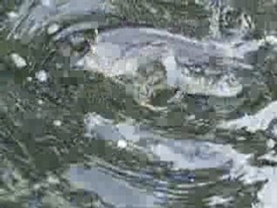 Quelques secondes volées à un bass de 47cm