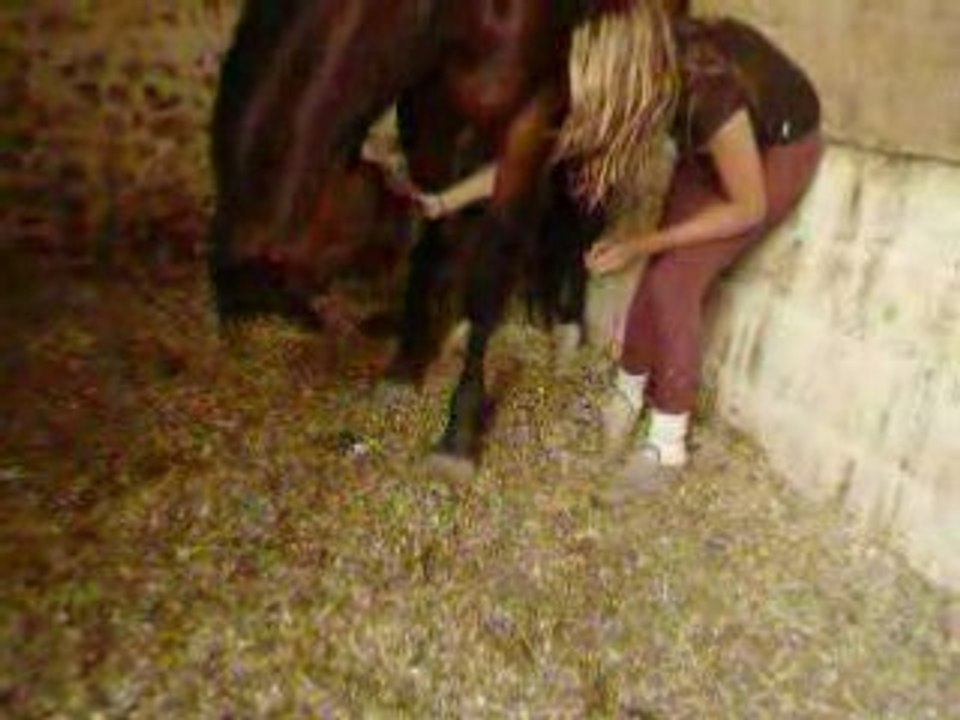 Jumelle et ma Saucisse d'amour