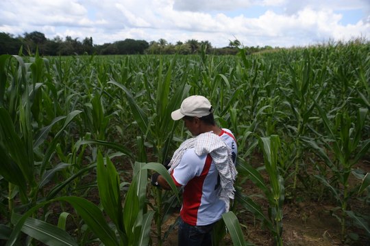 Corte declaró constitucional decreto que reconoce a pueblos indígenas como autoridades ambientales