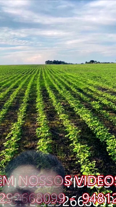 FAZENDA COM 1117 ALQUEIRÃO A VENDA CMC