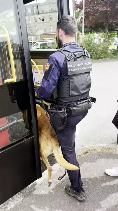 Contrôle surprise dans les bus à Flers