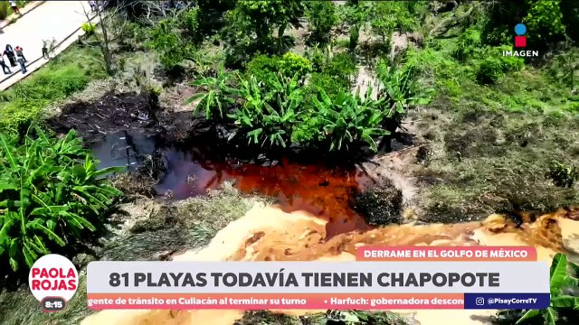 Continúan afectaciones en playas del Golfo de México por derrame | DPC con Paola Rojas