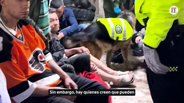 En operativo en San Bernardo se capturaron a 11 delincuentes