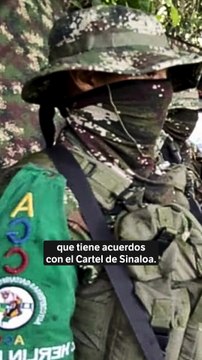 Así se mueven las redes de narcotráfico hoy: ¿qué ha cambiado desde los tiempos de Pablo Escobar?