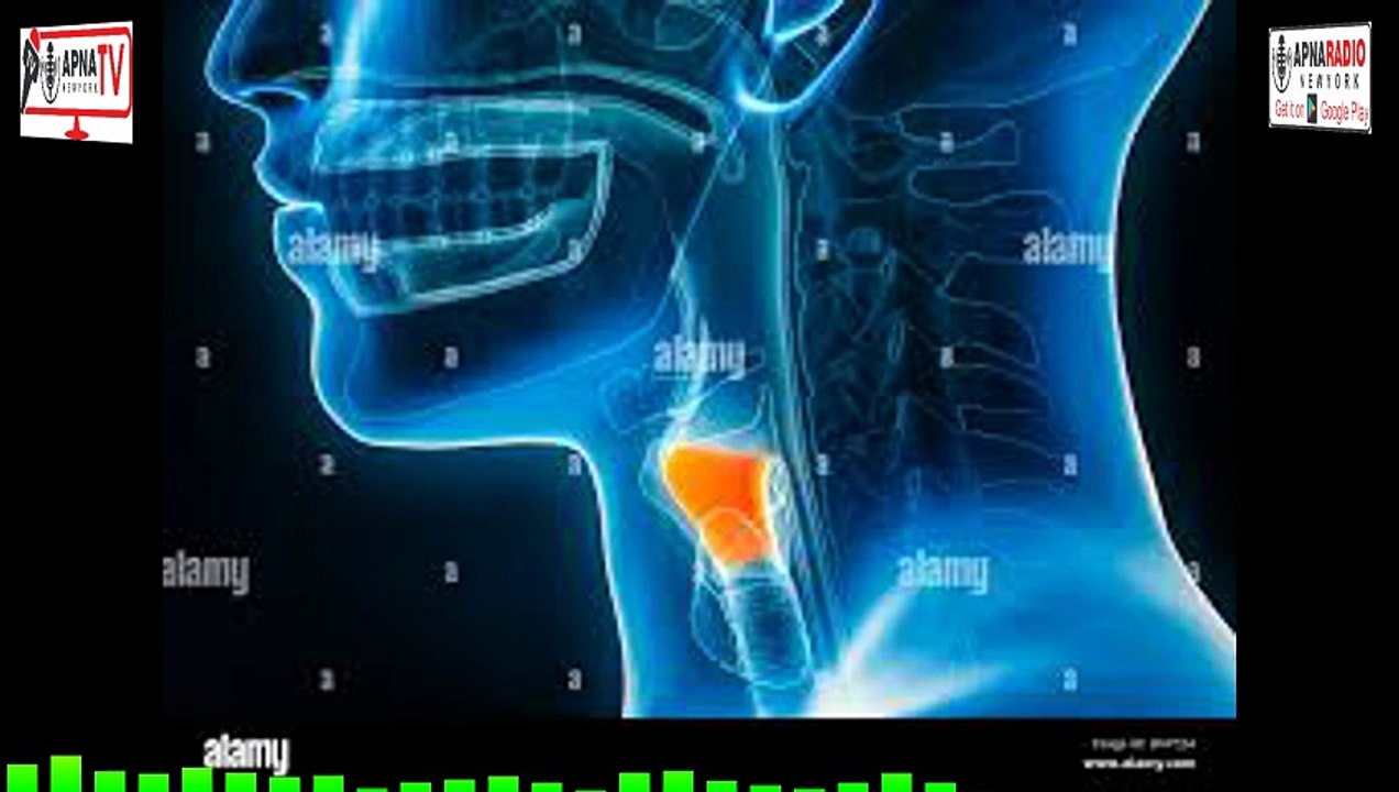 Voice Box in the Human Body | How the Larynx Works & Functions Explained 30-04-2026