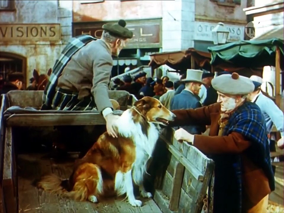 Lassie in Not (1949)