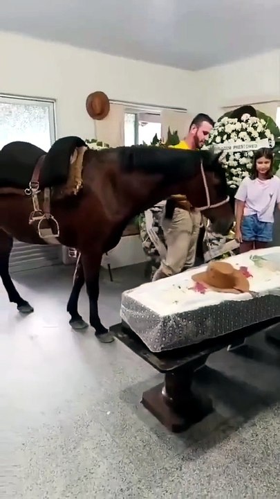 Égua relincha ao reconhecer dono morto em velório e emociona em SC; com vídeo