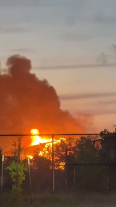 Lighting Strike Causes Animatronic Dinosaurs To...