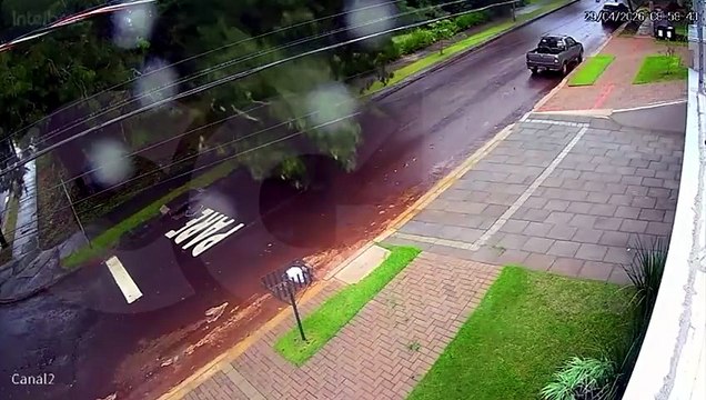 Árvore cai durante temporal e assusta moradores na Região do Lago em Cascavel