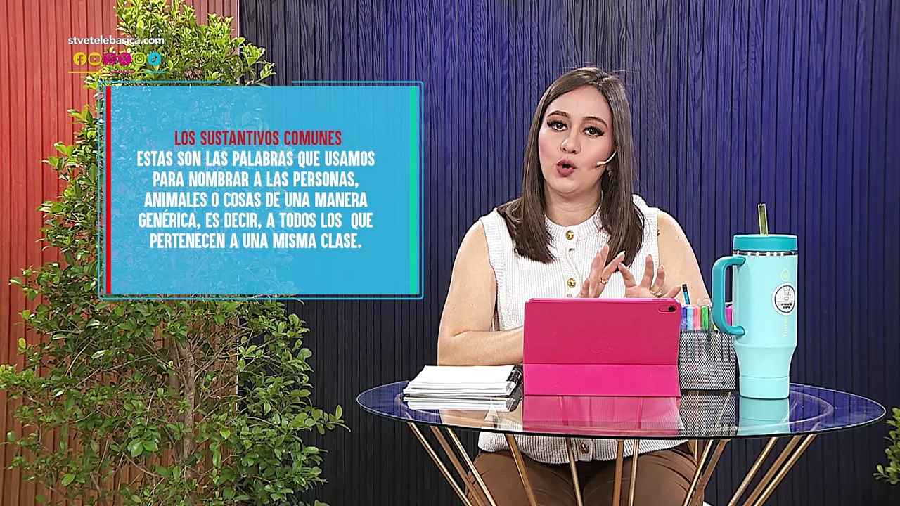 Los sustantivos: Español para todos