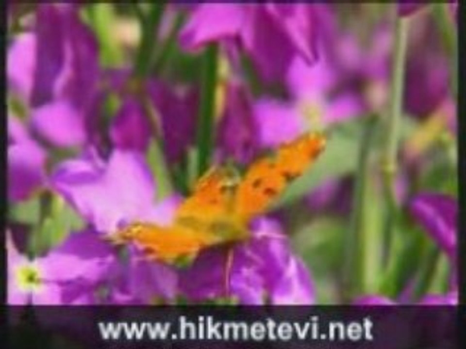 Ferudun eroğlu-şikayetim var