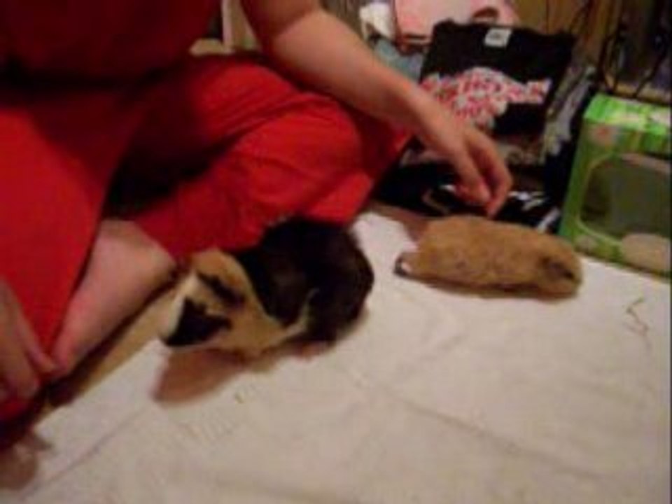 Rencontre Taïkô-Kenzo