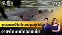 ลูกมหาเศรษฐีอินเดียเสนอดูแลฝูงฮิปโปฯ ราชาโคเคนโคลอมเบีย |ทันโลก EXPRESS | 30 เม.ย. 69
