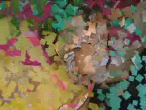 Manon journées du 8, 9 et 10 juin 2008