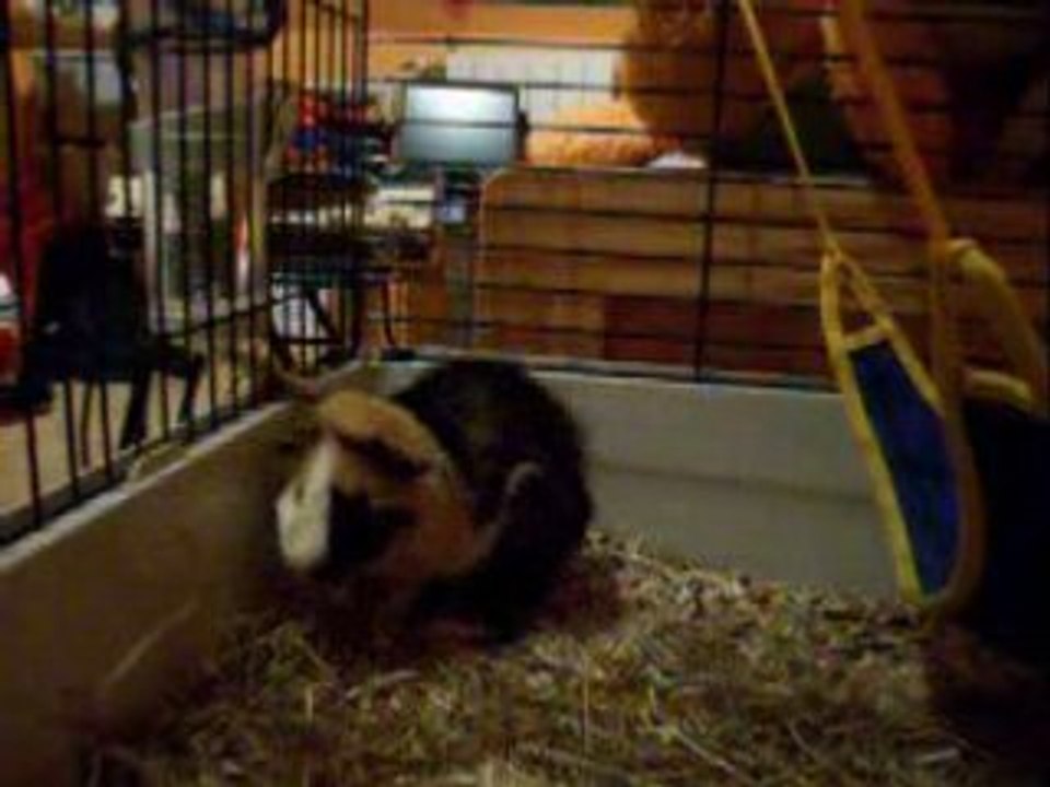 Taïkô après la rencontre avec ses fils