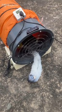 Mingletec powerful BLDC industrial axial fan #mingletec #powerful #BLDC #industrialfan #axialfan #blower #ventilation #manufacturer #supplier #factory #fyp
