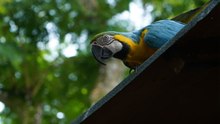 ‘La tierra prometida’ de Antioquia: Urabá, el tesoro escondido del caribe colombiano