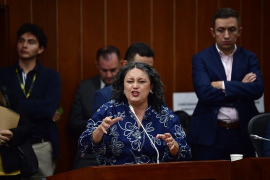 Mi lucha es por solucionar los problemas cotidianos de la gente común y corriente : Angélica Lozano