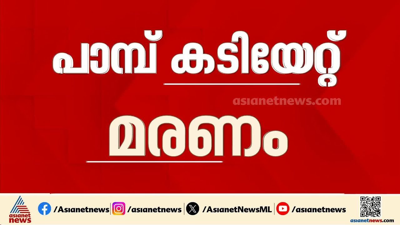 വീണ്ടും പാമ്പുകടിയേറ്റ് മരണം; കൊല്ലത്ത് പാമ്പുക...