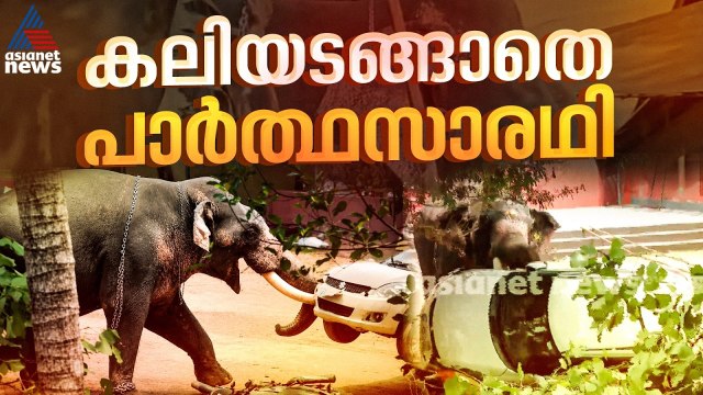 കലി അടങ്ങാതെ... സര്‍വത്ര നാശം വിതച്ച് അങ്കമാലിയിൽ വിരണ്ടോടിയ ആന