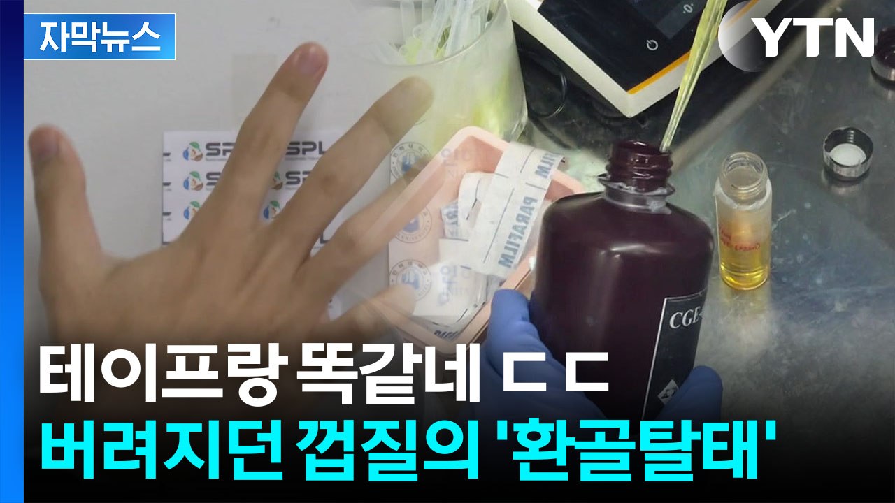 [자막뉴스] 버려지던 껍질의 대변신...생산 비용에 수명까지 '기대 만발' / YTN