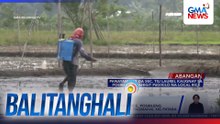 Balitanghali: (Part 1) April 30, 2026
