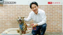 陳佩琪為柯文哲抱屈譏賴清德愛犬「殘障三腳狗」？陳智菡：個人言論自由