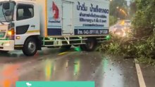 ชื่นชม ! รถบรรทุกช่วยดันต้นไม้ให้พ้นทาง หลังลมแรงทำล้มขวางถนน